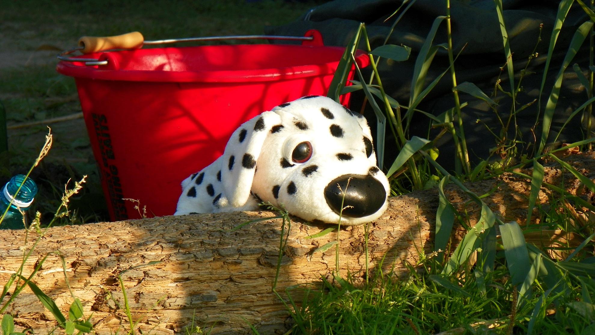 Boiliesmania (2) - 2011 - 1000114.JPG